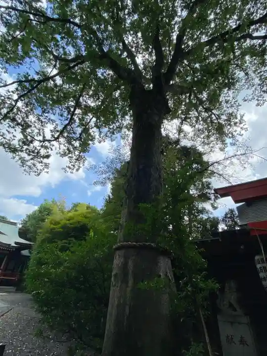 武蔵野八幡宮(東京都)