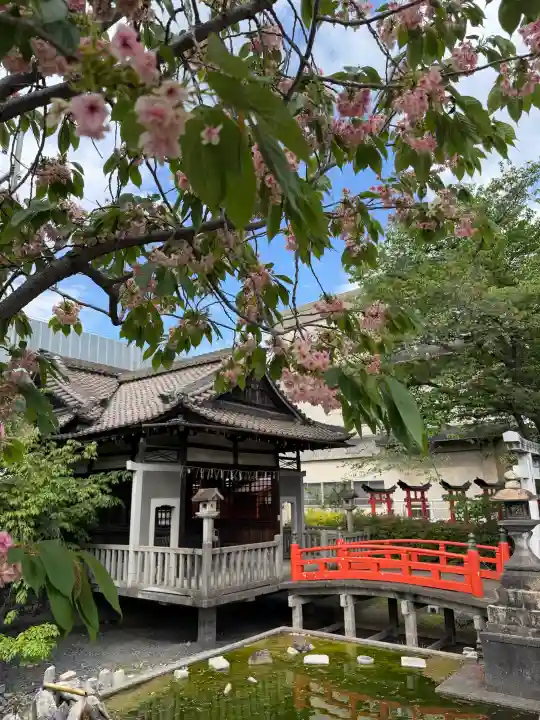 六孫王神社の{uncategorized: "未分類", other: "その他", undefined: "問題あり", building: "その他建物", grave: "お墓", sacred_gate: "鳥居", guardian: "狛犬", statue: "像", buddha: "仏像", history: "歴史", nature: "自然", garden: "庭園", animal: "動物", pagoda: "塔", temizu: "手水舎", mountain_gate: "山門・神門", sanctuary: "本殿・本堂", subordinate: "末社・摂社", art: "芸術", scenery: "景色", jizo: "地蔵", ema: "絵馬", goshuin: "御朱印", omikuji: "おみくじ", items: "授与品その他", amulet: "お守り", goshuincho: "御朱印帳", eats: "食事", festival: "お祭り", votive_dance: "神楽", shichigosan: "七五三参", wedding: "結婚式", experience: "体験その他", initially: "初詣", around: "周辺", anti_infection: "感染症対策"}