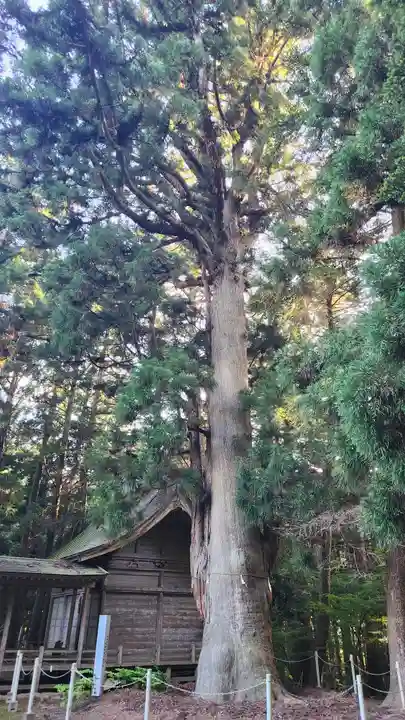 上沼八幡神社(宮城県)