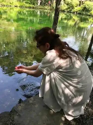 富士山本宮浅間大社(静岡県)
