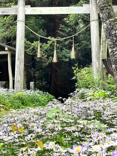 修那羅山安宮神社(長野県)