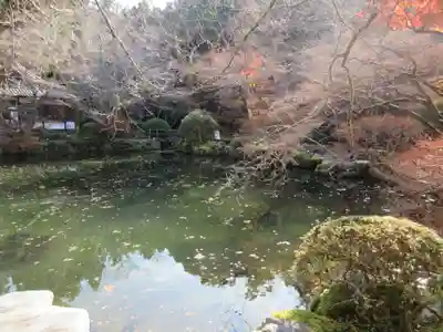 醍醐寺(京都府)