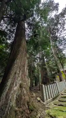 江文神社(京都府)