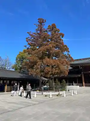 寒川神社(神奈川県)