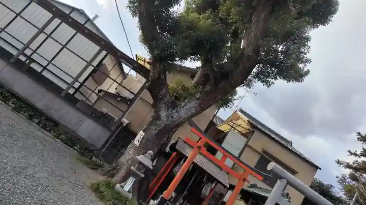 山王神社(京都府)
