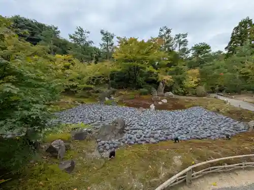 宝厳院(京都府)