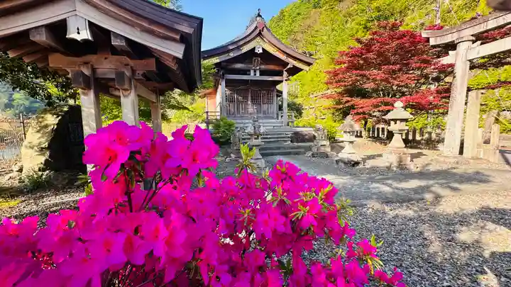 白石神社(福井県)