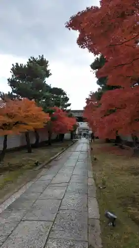 妙顯寺（妙顕寺）(京都府)