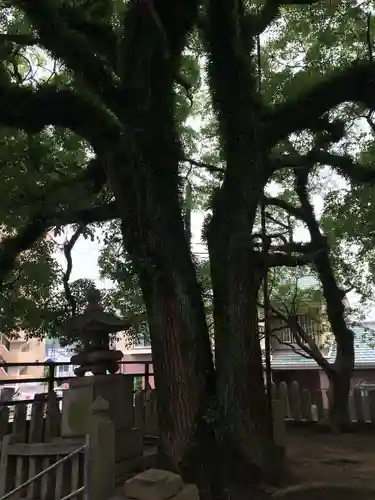 嚴島神社(山口県)