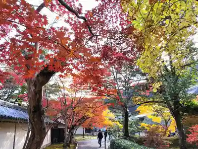 二尊院(京都府)