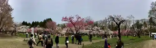 開拓神社の周辺