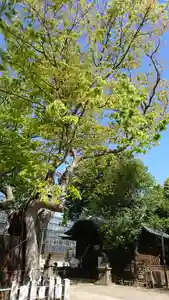 阿邪訶根神社の自然(2021年04月22日(木) 09時17分03秒投稿)