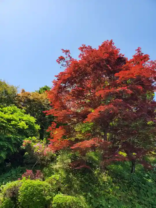 藥王寺(福島県)