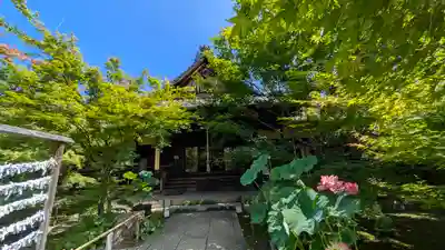 勝林寺(京都府)