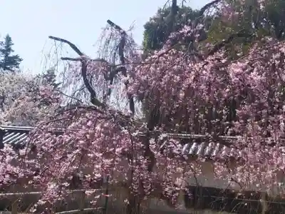 醍醐寺(京都府)