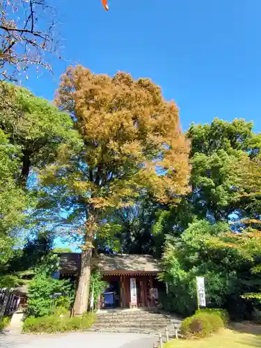 阿佐ヶ谷神明宮(東京都)