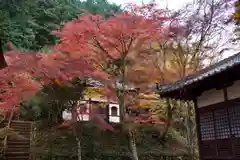 正法寺の自然