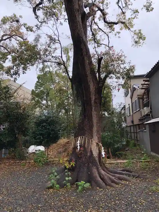 神足神社のその他建物