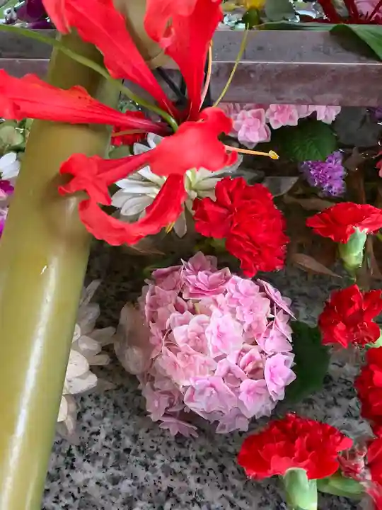 生田神社(兵庫県)