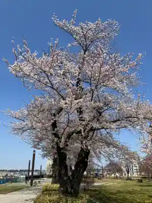 三八城神社の{uncategorized: "未分類", other: "その他", undefined: "問題あり", building: "その他建物", grave: "お墓", sacred_gate: "鳥居", guardian: "狛犬", statue: "像", buddha: "仏像", history: "歴史", nature: "自然", garden: "庭園", animal: "動物", pagoda: "塔", temizu: "手水舎", mountain_gate: "山門・神門", sanctuary: "本殿・本堂", subordinate: "末社・摂社", art: "芸術", scenery: "景色", jizo: "地蔵", ema: "絵馬", goshuin: "御朱印", omikuji: "おみくじ", items: "授与品その他", amulet: "お守り", goshuincho: "御朱印帳", eats: "食事", festival: "お祭り", votive_dance: "神楽", shichigosan: "七五三参", wedding: "結婚式", experience: "体験その他", initially: "初詣", around: "周辺", anti_infection: "感染症対策"}