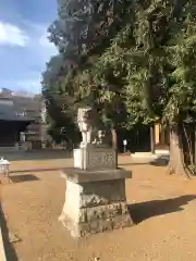 東村山八坂神社の狛犬