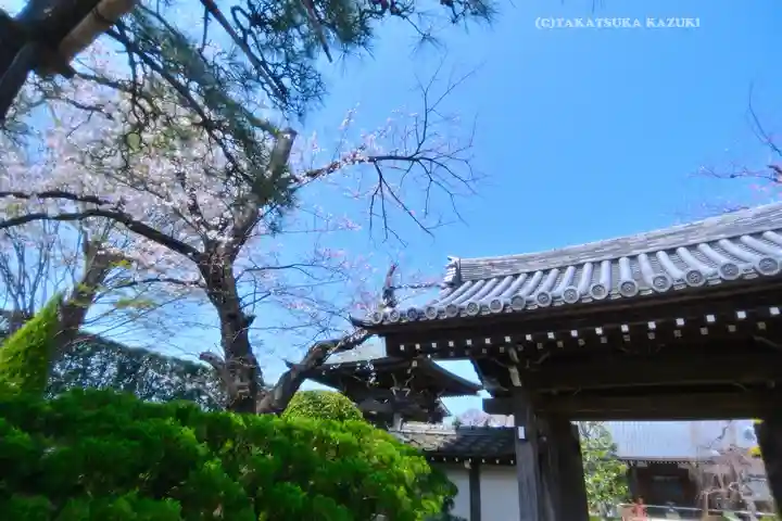 瑞雲寺(神奈川県)