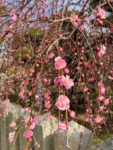 曽根天満宮の庭園