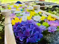 土津神社|こどもと出世の神さまの手水舎