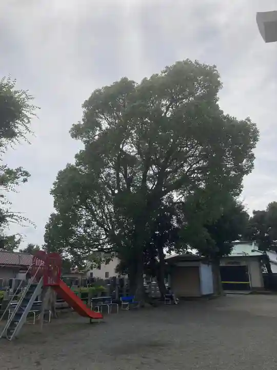 本社宮(神奈川県)