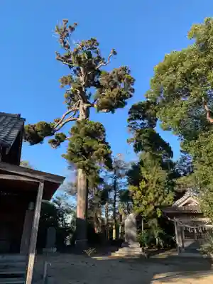 稲蒼神社(千葉県)