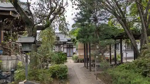 井口院の庭園