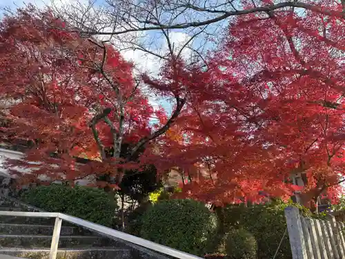 北山別院(京都府)