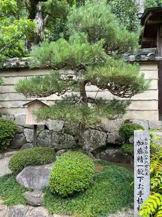 法起院(奈良県)