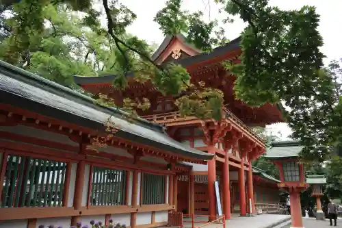 武蔵一宮氷川神社(埼玉県)