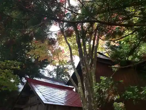 高司神社〜むすびの神の鎮まる社〜の自然