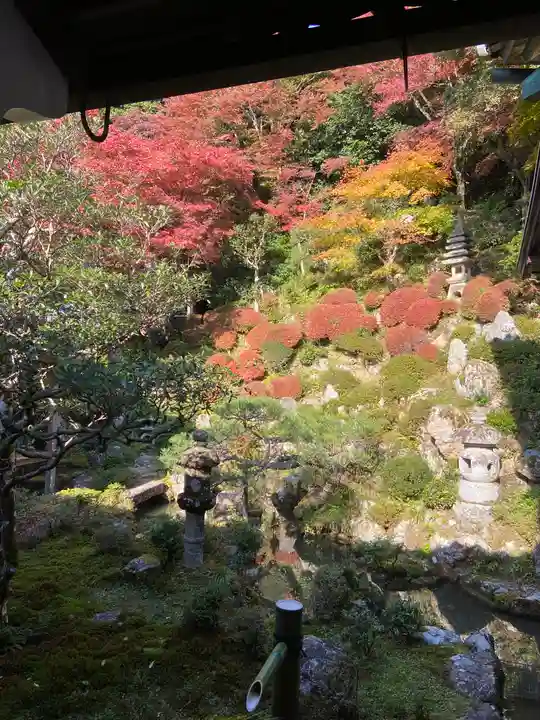 柳谷観音 楊谷寺(京都府)