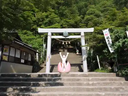 桃太郎神社の鳥居