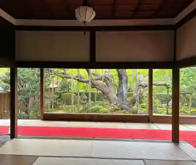宝泉院(京都府)