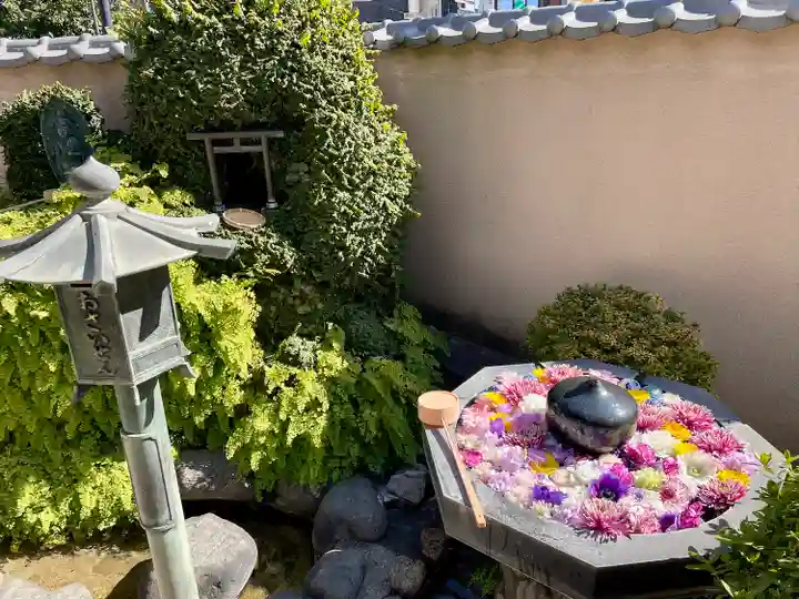 神楽坂安養寺(東京都)