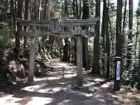 天乃石立神社の鳥居