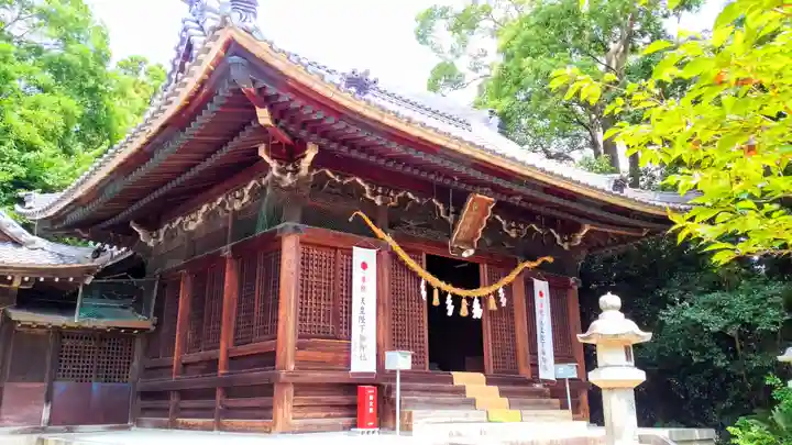 白山媛神社(上条白山媛神社)の本殿・本堂