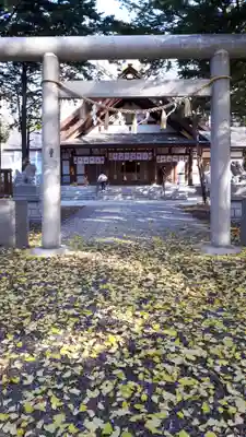 新琴似神社の鳥居
