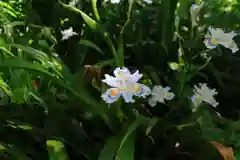 愛宕神社の庭園