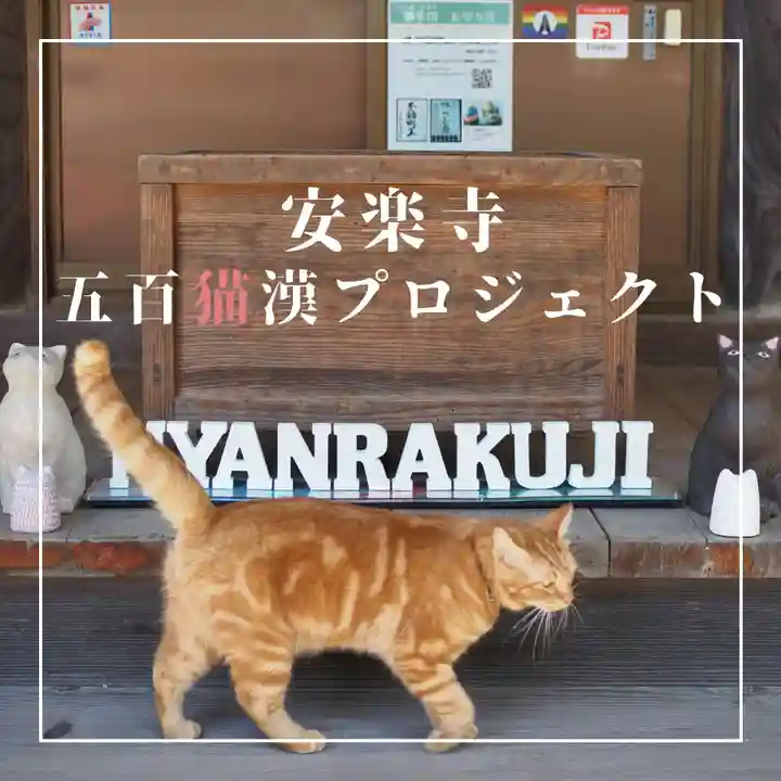 天王山 安楽寺(福井県)