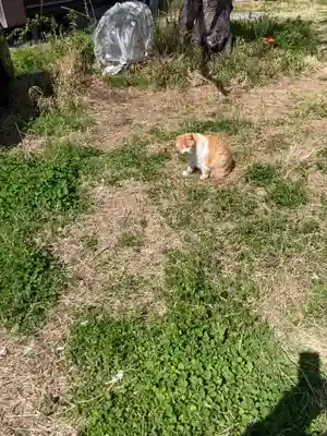 光明院(神奈川県)