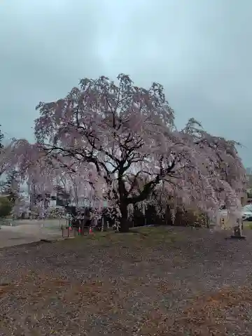 常宣寺(福島県)