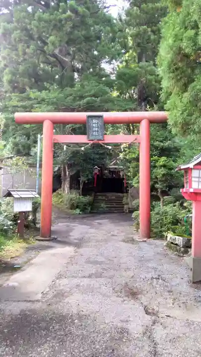 駒形神社(箱根神社摂社)の鳥居
