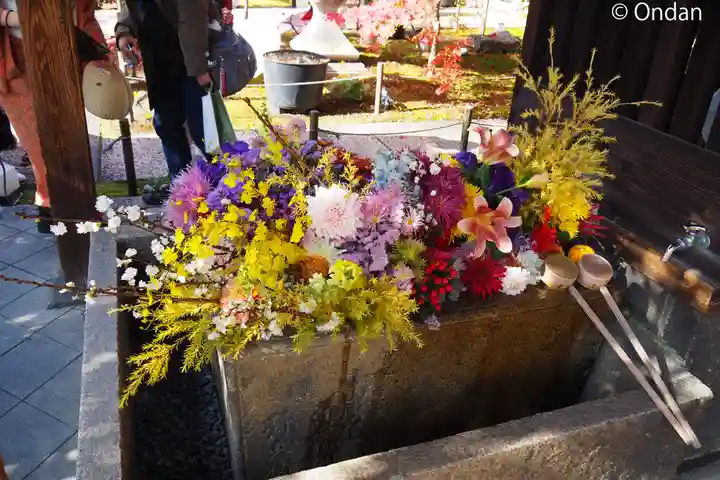 勝林寺(京都府)