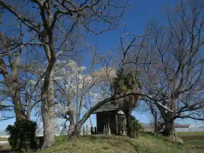 神明神社(千葉県)