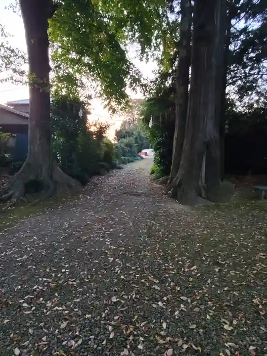 大國玉神社(茨城県)